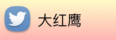大红鹰 logo
